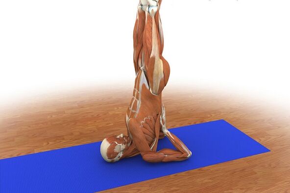 Kraftübung „Birke“